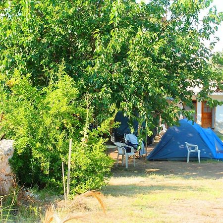 Medusa Camping Patara Exteriör bild