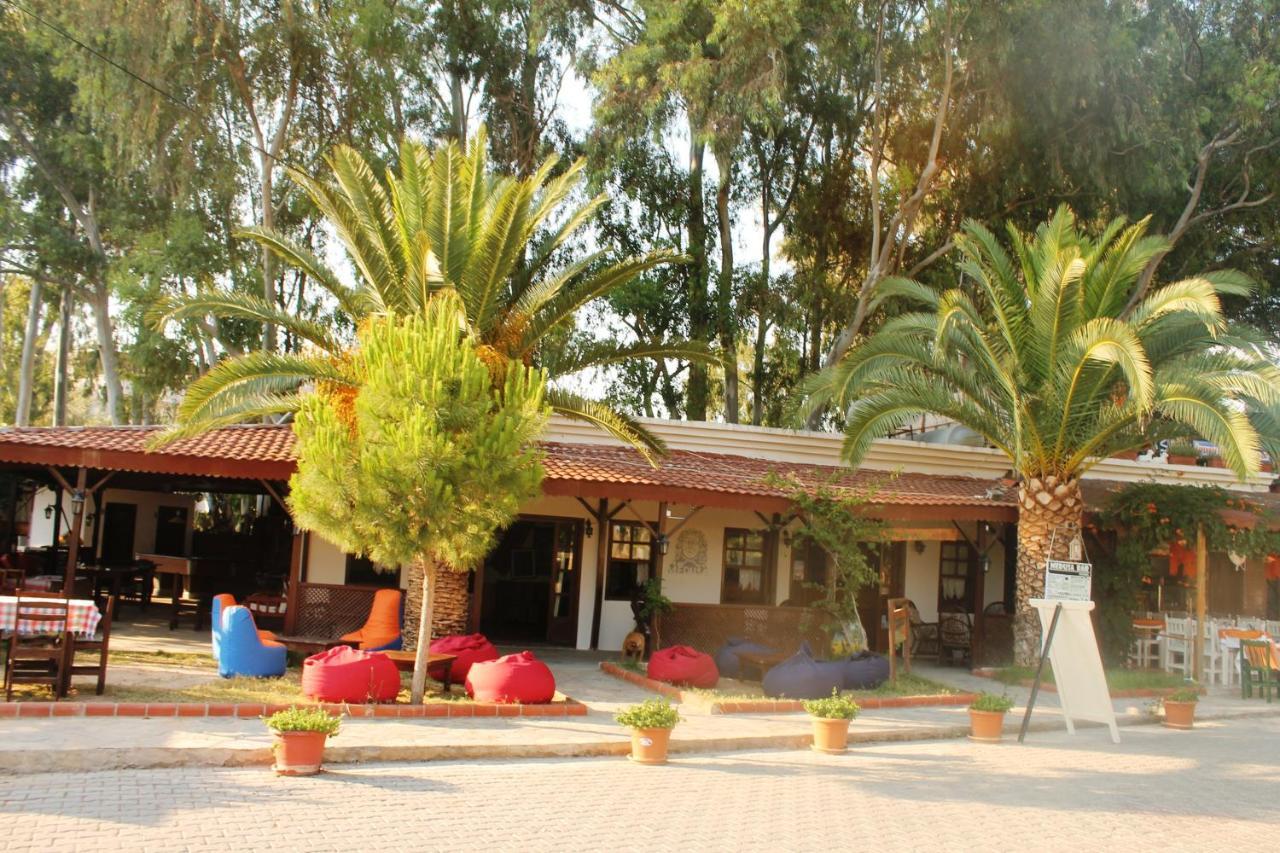 Medusa Camping Patara Exteriör bild