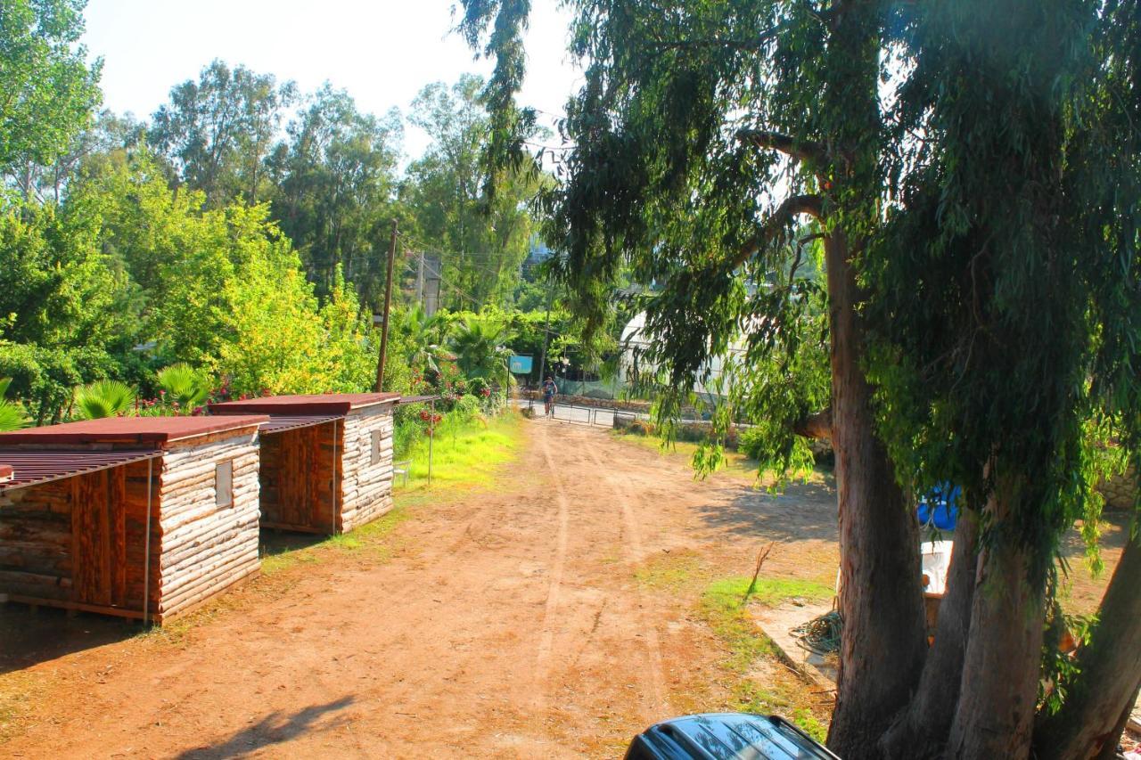 Medusa Camping Patara Exteriör bild